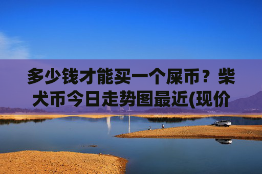 多少钱才能买一个屎币？柴犬币今日走势图最近(现价0.00017664元)