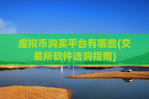 虚拟币购买平台有哪些(交易所软件选购指南)