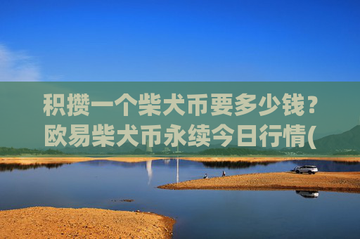积攒一个柴犬币要多少钱?欧易柴犬币永续今日行情(现价0.00022346元)