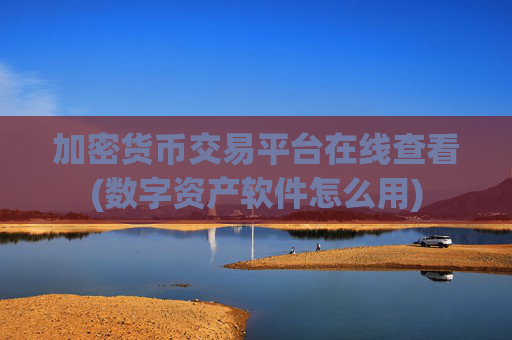 加密货币交易平台在线查看(数字资产软件怎么用)
