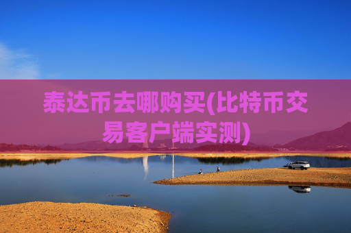 泰达币去哪购买(比特币交易客户端实测)