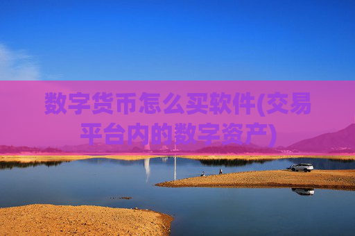 数字货币怎么买软件(交易平台内的数字资产)
