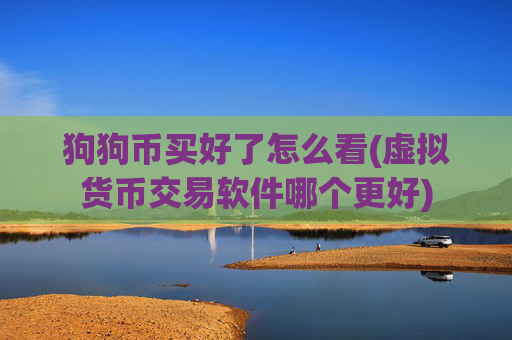 狗狗币买好了怎么看(虚拟货币交易软件哪个更好)