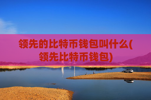 领先的比特币钱包叫什么(领先比特币钱包)