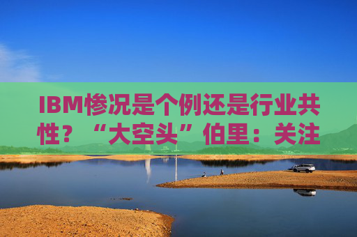 IBM惨况是个例还是行业共性?“大空头”伯里:关注这些即将发布的财报!