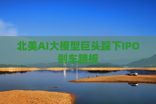 北美AI大模型巨头踩下IPO刹车踏板
