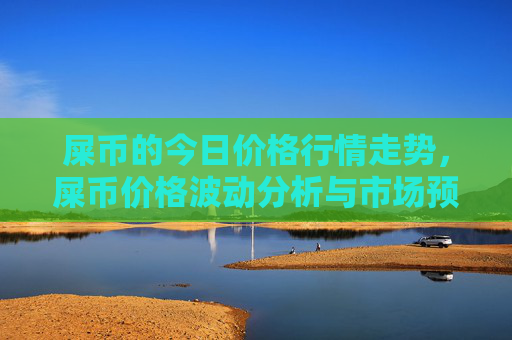 屎币的今日价格行情走势,屎币价格波动分析与市场预测