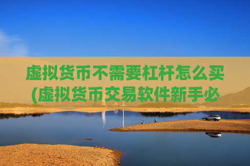 虚拟货币不需要杠杆怎么买(虚拟货币交易软件新手必读)
