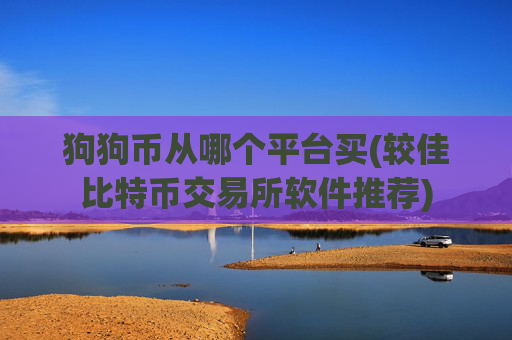狗狗币从哪个平台买(较佳比特币交易所软件推荐)