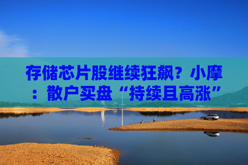 存储芯片股继续狂飙?小摩:散户买盘“持续且高涨” 毫无获利了结迹象