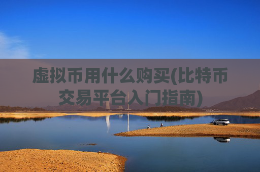 虚拟币用什么购买(比特币交易平台入门指南)