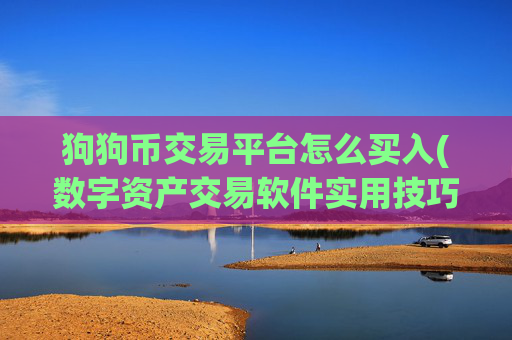 狗狗币交易平台怎么买入(数字资产交易软件实用技巧)