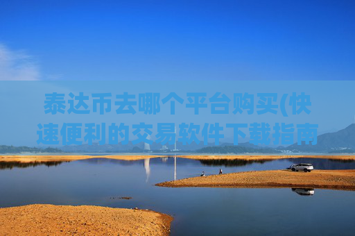 泰达币去哪个平台购买(快速便利的交易软件下载指南)