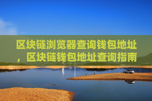 区块链浏览器查询钱包地址,区块链钱包地址查询指南