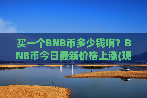 买一个BNB币多少钱啊?BNB币今日最新价格上涨(现价5276.05元)