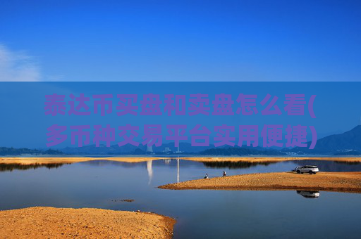 泰达币买盘和卖盘怎么看(多币种交易平台实用便捷)