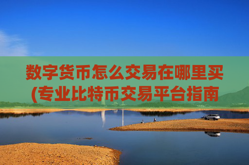 数字货币怎么交易在哪里买(专业比特币交易平台指南)