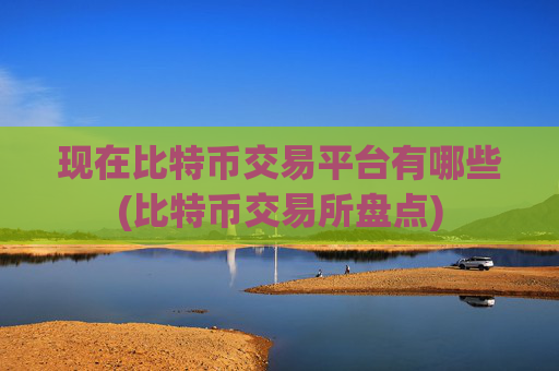 现在比特币交易平台有哪些(比特币交易所盘点)