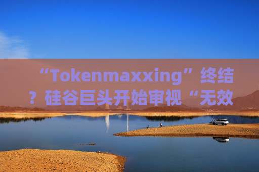 “Tokenmaxxing”终结?硅谷巨头开始审视“无效”AI账单