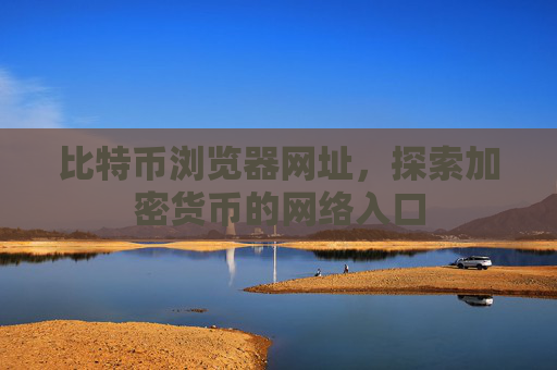 比特币浏览器网址,探索加密货币的网络入口