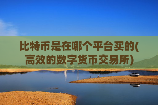 比特币是在哪个平台买的(高效的数字货币交易所)