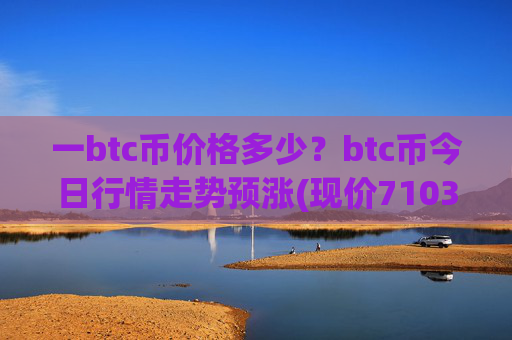 一btc币价格多少？btc币今日行情走势预涨(现价710365.35元)