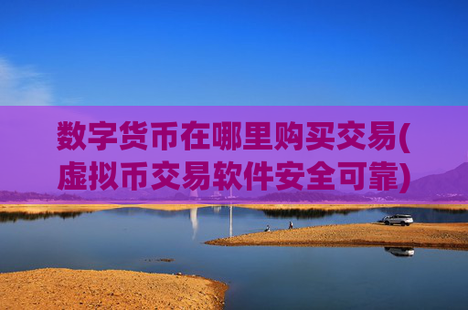 数字货币在哪里购买交易(虚拟币交易软件安全可靠)