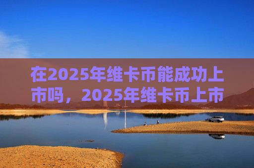 在2025年维卡币能成功上市吗，2025年维卡币上市可能性分析