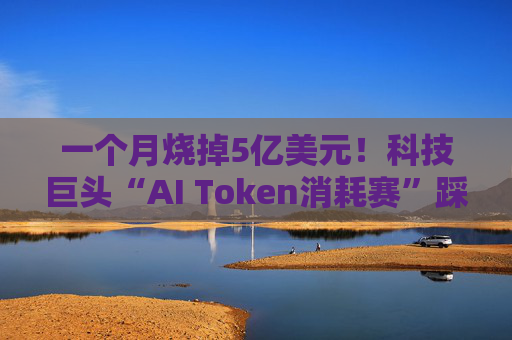 一个月烧掉5亿美元！科技巨头“AI Token消耗赛”踩下急刹