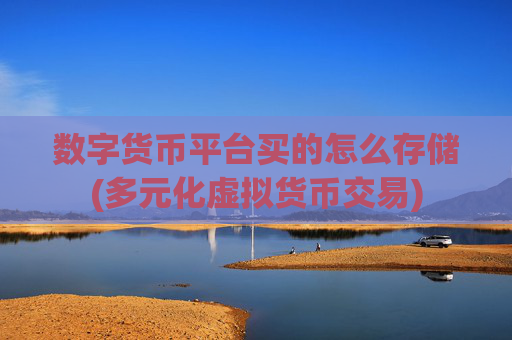数字货币平台买的怎么存储(多元化虚拟货币交易)