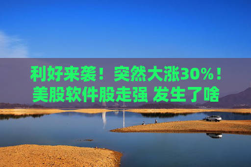 利好来袭!突然大涨30%!美股软件股走强 发生了啥?
