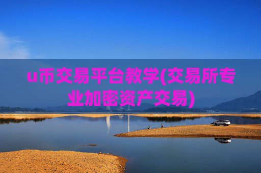 u币交易平台教学(交易所专业加密资产交易)