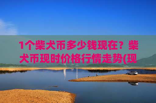 1个柴犬币多少钱现在？柴犬币现时价格行情走势(现价0.00017626元)