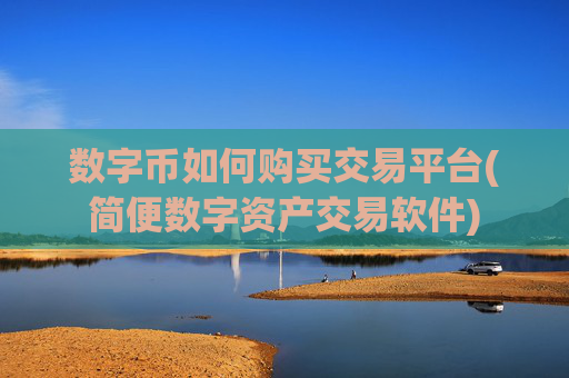 数字币如何购买交易平台(简便数字资产交易软件)