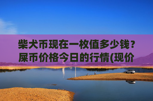 柴犬币现在一枚值多少钱？屎币价格今日的行情(现价0.00017474元)