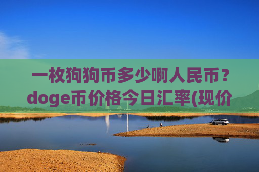 一枚狗狗币多少啊人民币?doge币价格今日汇率(现价2.6392元)
