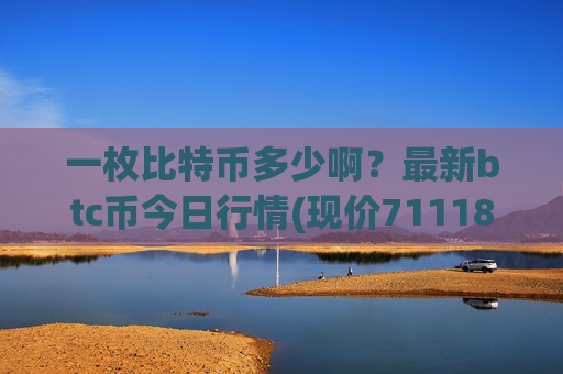 一枚比特币多少啊？最新btc币今日行情(现价711188.12元)