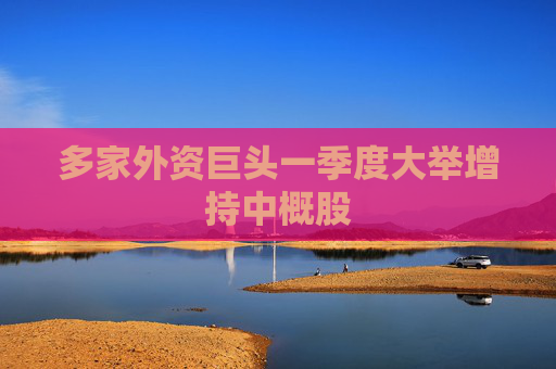 多家外资巨头一季度大举增持中概股
