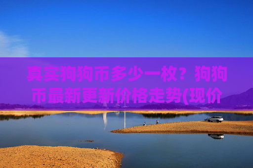 真实狗狗币多少一枚?狗狗币最新更新价格走势(现价2.6529元)