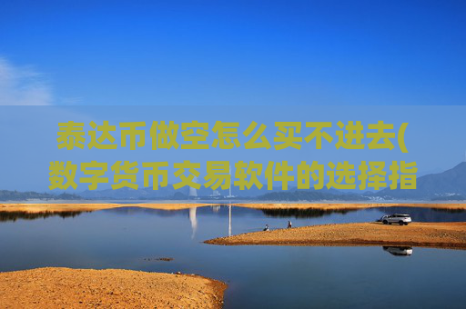 泰达币做空怎么买不进去(数字货币交易软件的选择指南)