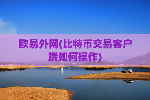 欧易外网(比特币交易客户端如何操作)