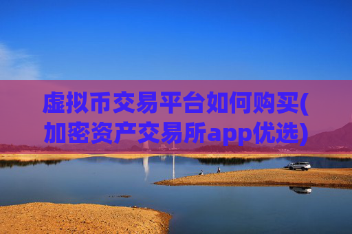 虚拟币交易平台如何购买(加密资产交易所app优选)