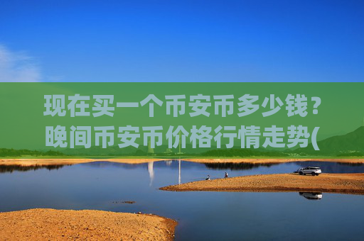 现在买一个币安币多少钱?晚间币安币价格行情走势(现价5287.53元)