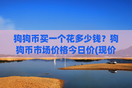 狗狗币买一个花多少钱？狗狗币市场价格今日价(现价2.644元)