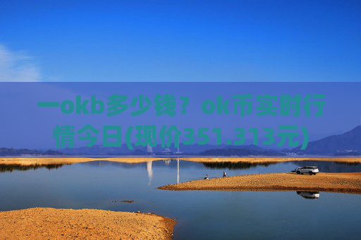 一okb多少钱?ok币实时行情今日(现价351.313元)