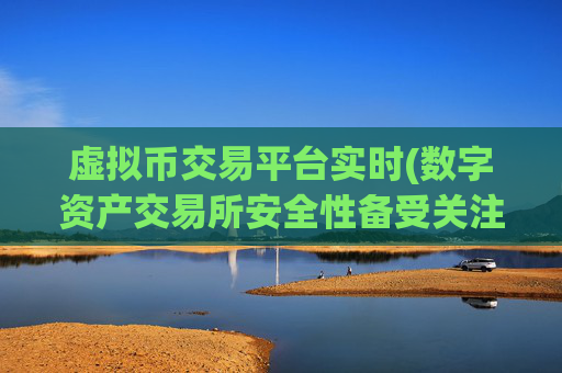 虚拟币交易平台实时(数字资产交易所安全性备受关注)