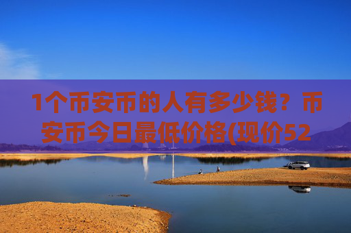 1个币安币的人有多少钱？币安币今日最低价格(现价5275.91元)