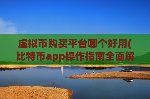 虚拟币购买平台哪个好用(比特币app操作指南全面解读)