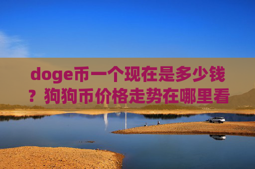 doge币一个现在是多少钱?狗狗币价格走势在哪里看(现价2.6534元)