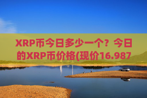 XRP币今日多少一个?今日的XRP币价格(现价16.9879元)